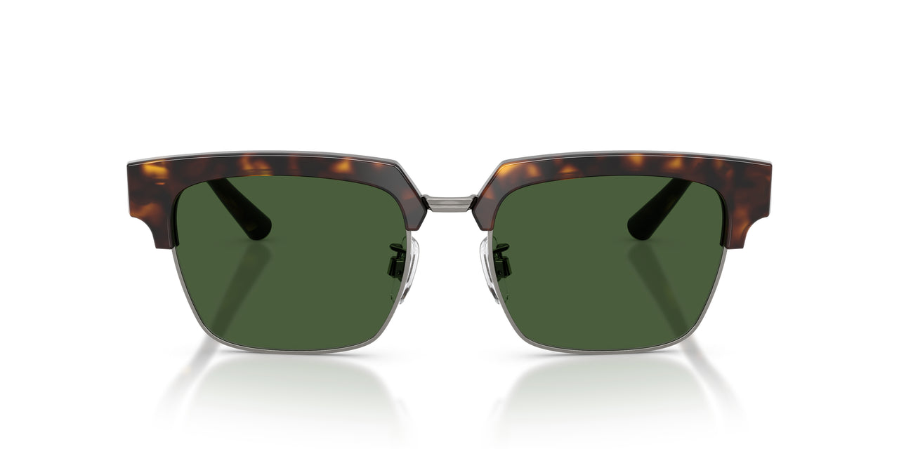 502/71 - Tortoise - Dark Green