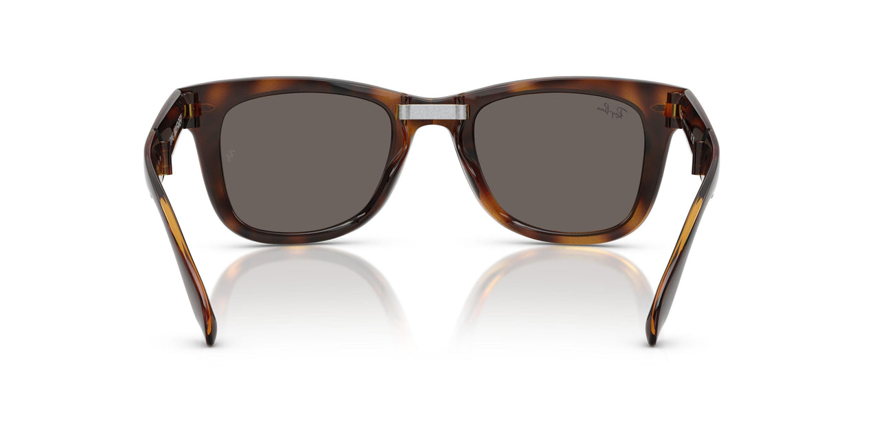 710/B1 - Tortoise - Dark Grey