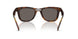 710/B1 - Tortoise - Dark Grey