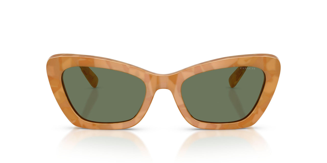 593982 - Tortoise - Green Solid
