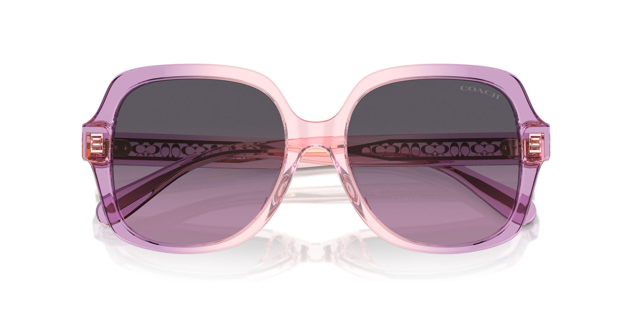 581390 - Violet - Purple Gradient