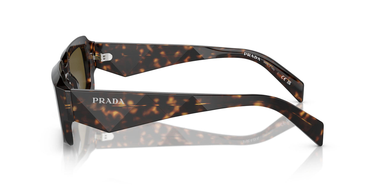 19J09Z - Green - Dark Brown