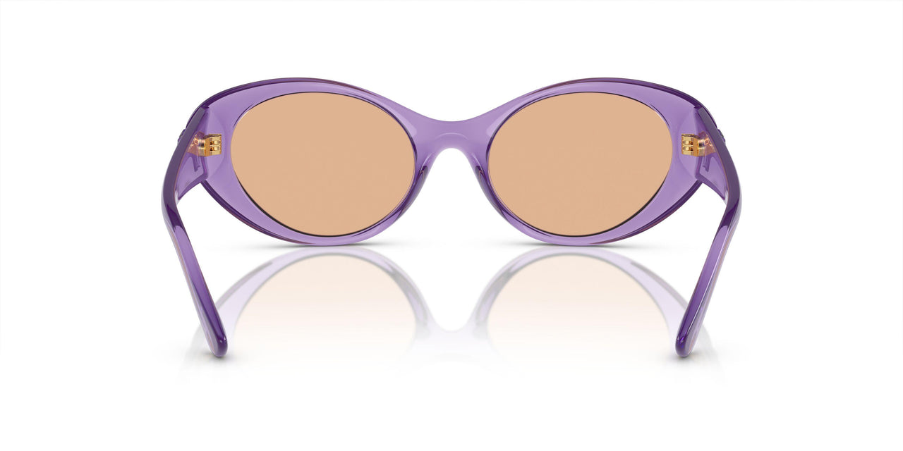 5353/3 - Violet - Dark Brown