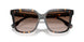 201613 - Tortoise - Brown Gradient
