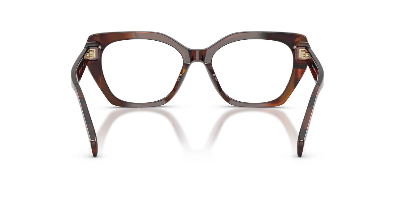 4031 - Tortoise