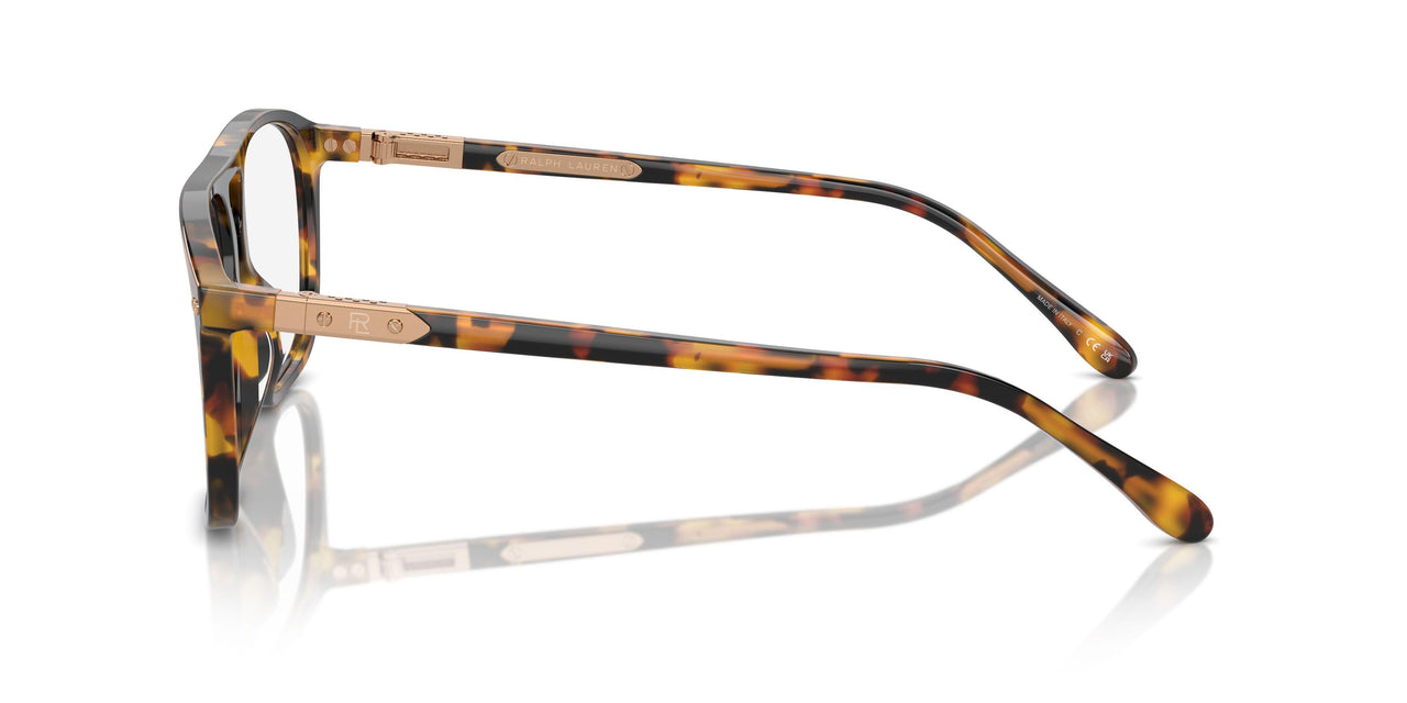 5134 - Tortoise