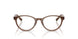 8255 - Brown