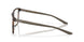 802904 - Tortoise