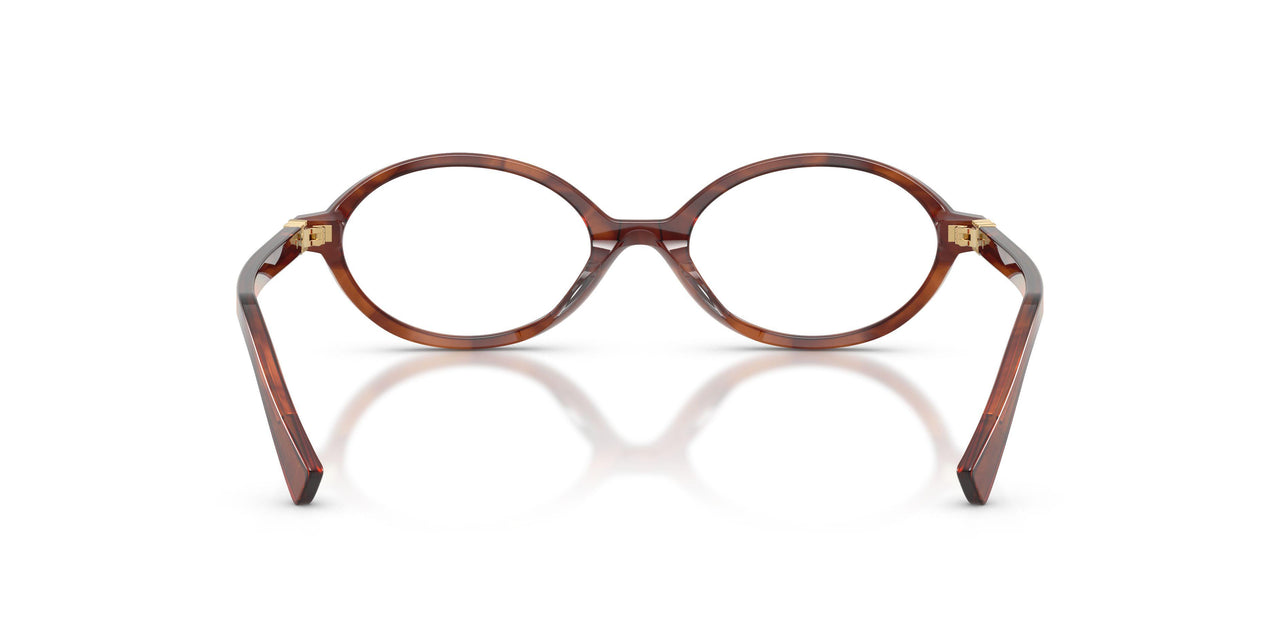 26E1O1 - Brown