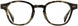 1 - Olive Tortoise
