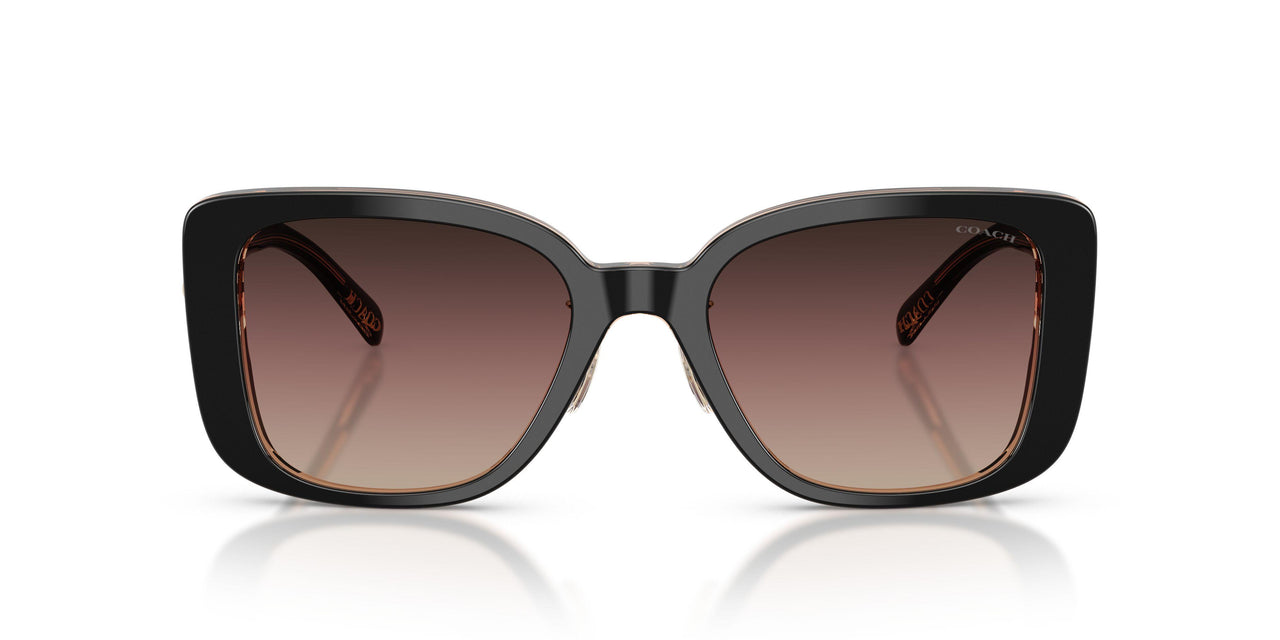 5781E2 - Black - Brown Purple Gradient