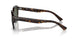 902/31 - Tortoise - Green
