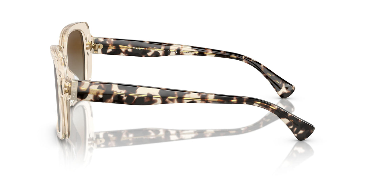 6072T5 - Beige - Brown Gradient Polarized