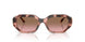 319914 - Pink - Pink Gradient Brown