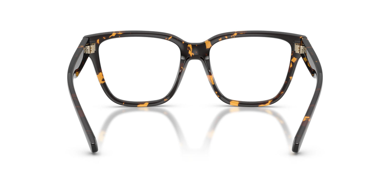 4106 - Tortoise