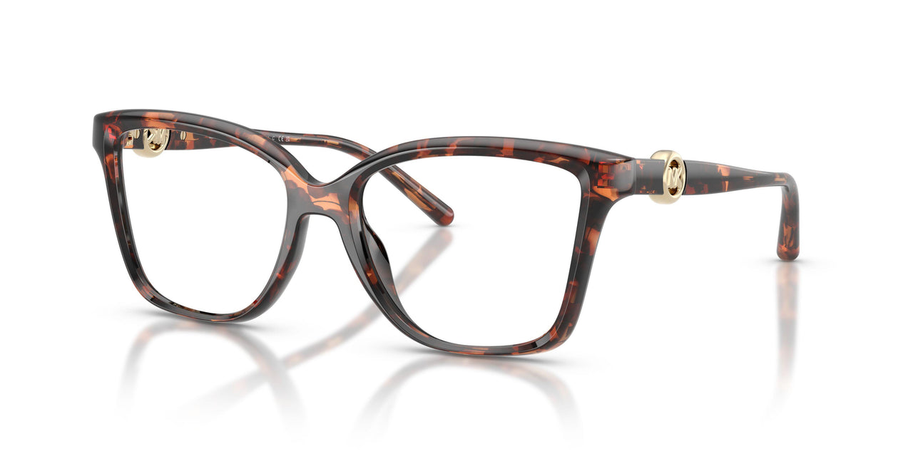 4031 - Tortoise