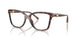 4031 - Tortoise