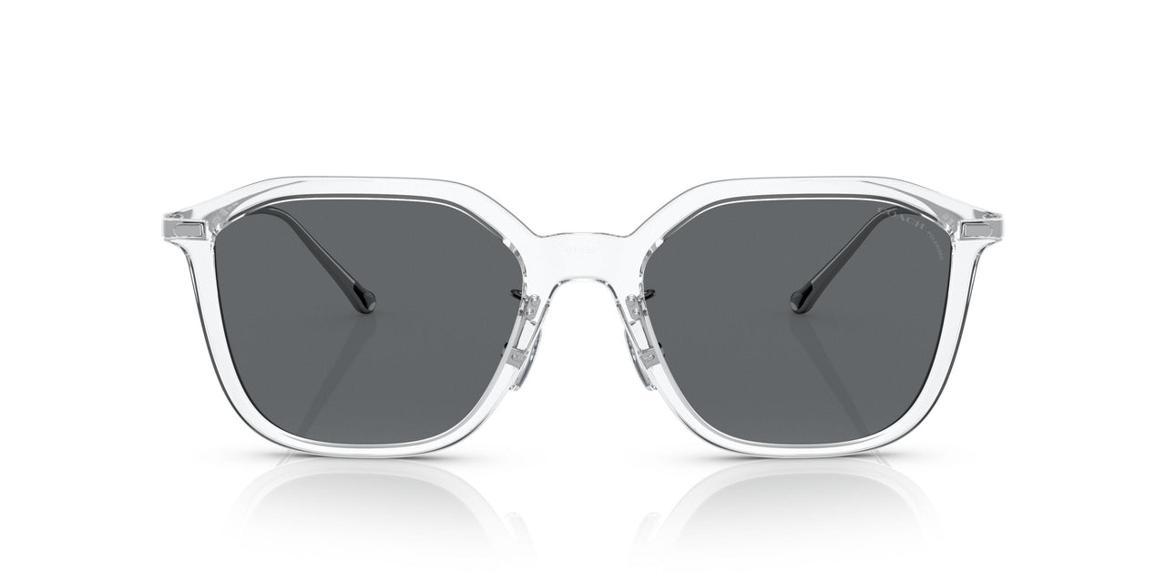 511181 - Clear - Gray Solid Polar