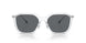 511181 - Clear - Gray Solid Polar