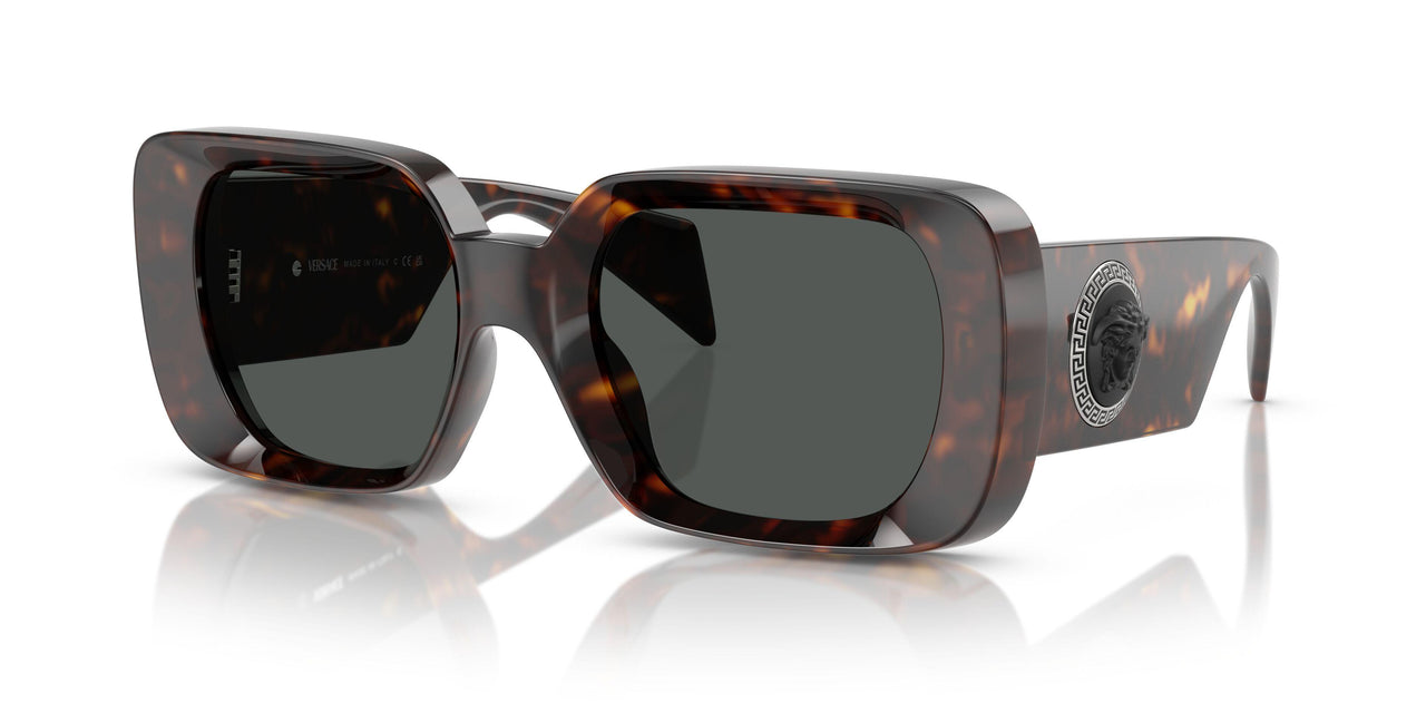 108/87 - Tortoise - Dark Grey