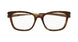 002 - Havana/Silver - Transparent