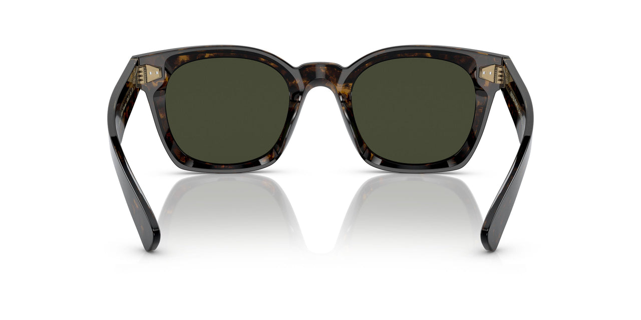 1747P1 - Tortoise - G-15 Polarized