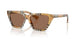 416373 - Brown - Dark Brown