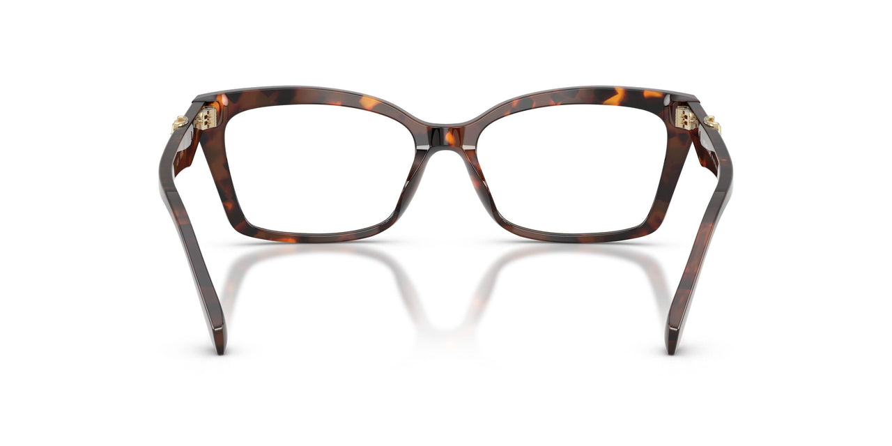 4031 - Tortoise
