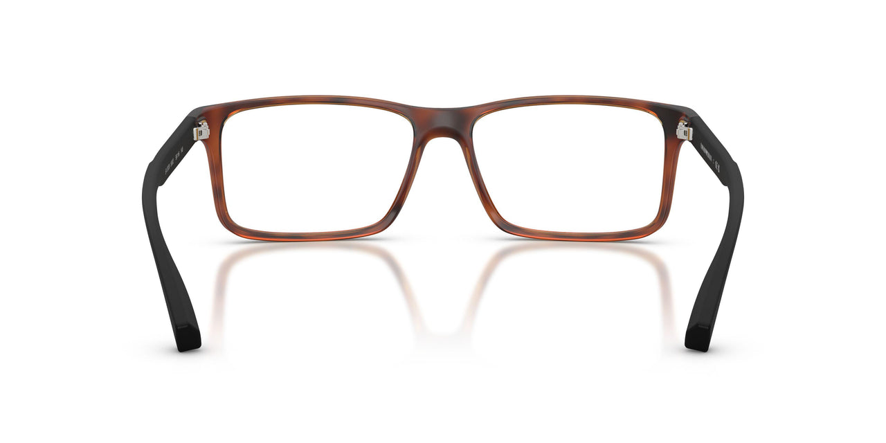 5002 - Tortoise