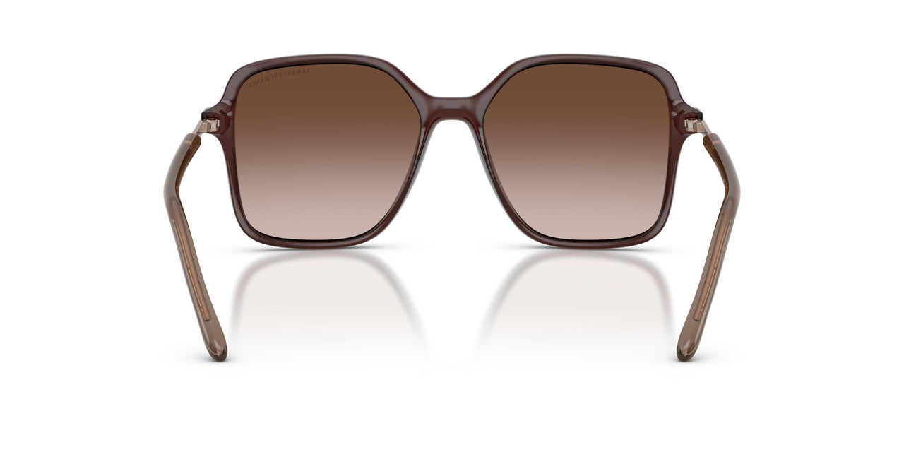 839613 - Brown - Brown Gradient