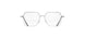 7010 - Clear Rhodium