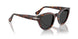 24/48 - Tortoise - Polar Dark Grey