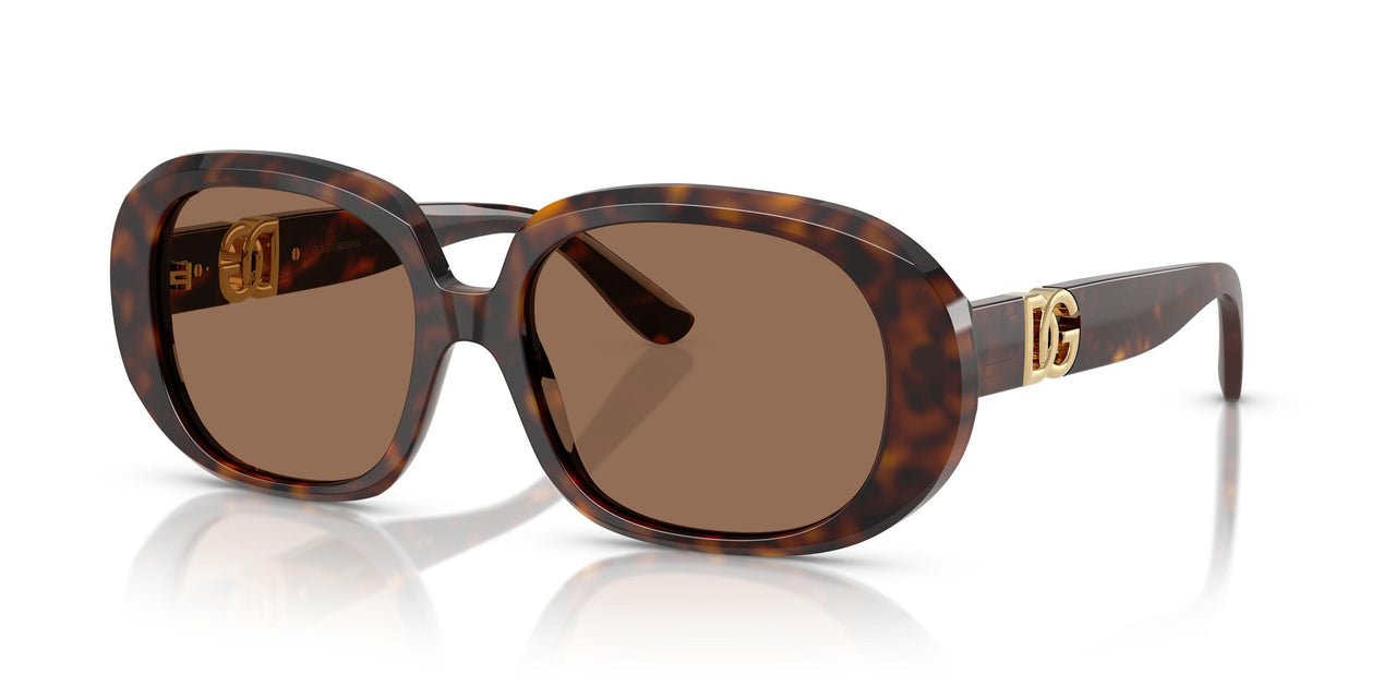 502/73 - Tortoise - Dark Brown