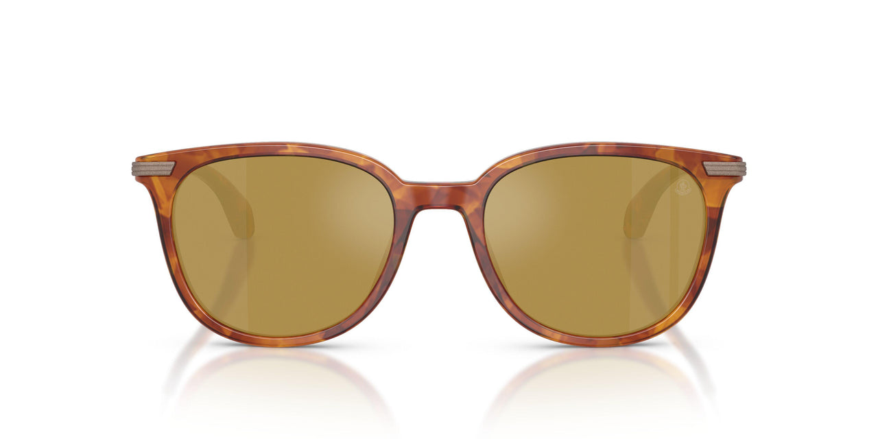 300475 - Tortoise - Mirror Olive