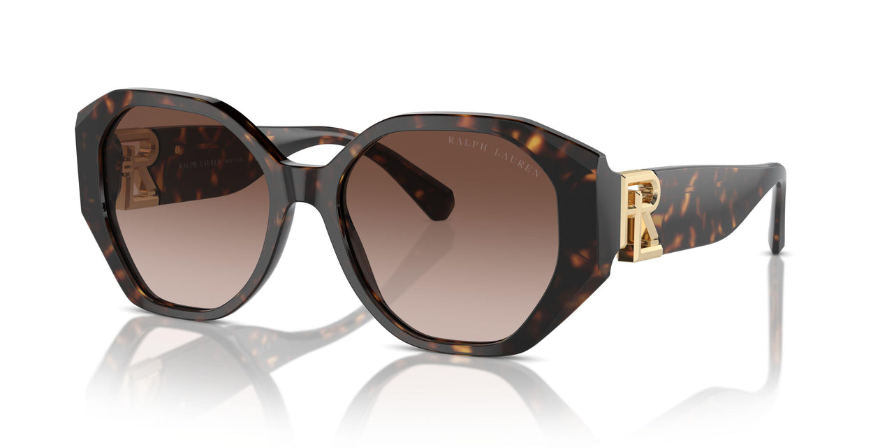 500313 - Brown - Brown Gradient