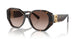 500313 - Brown - Brown Gradient