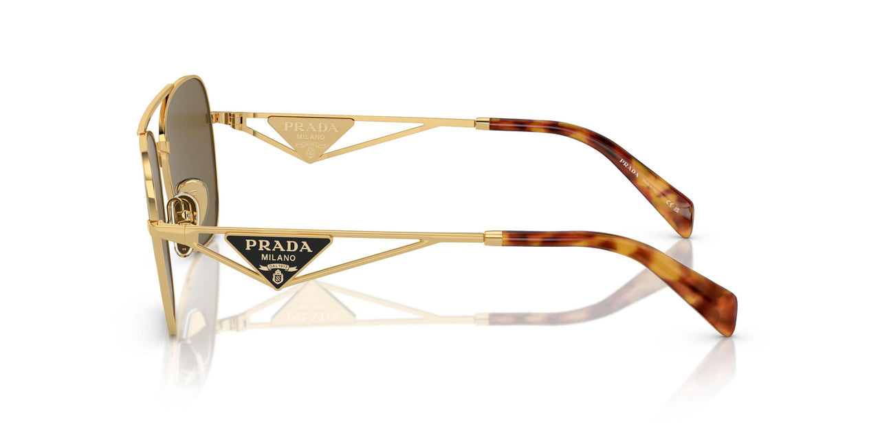 5AK01T - Gold - Dark Brown