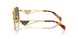 5AK01T - Gold - Dark Brown