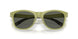 910813 - Green - Gray