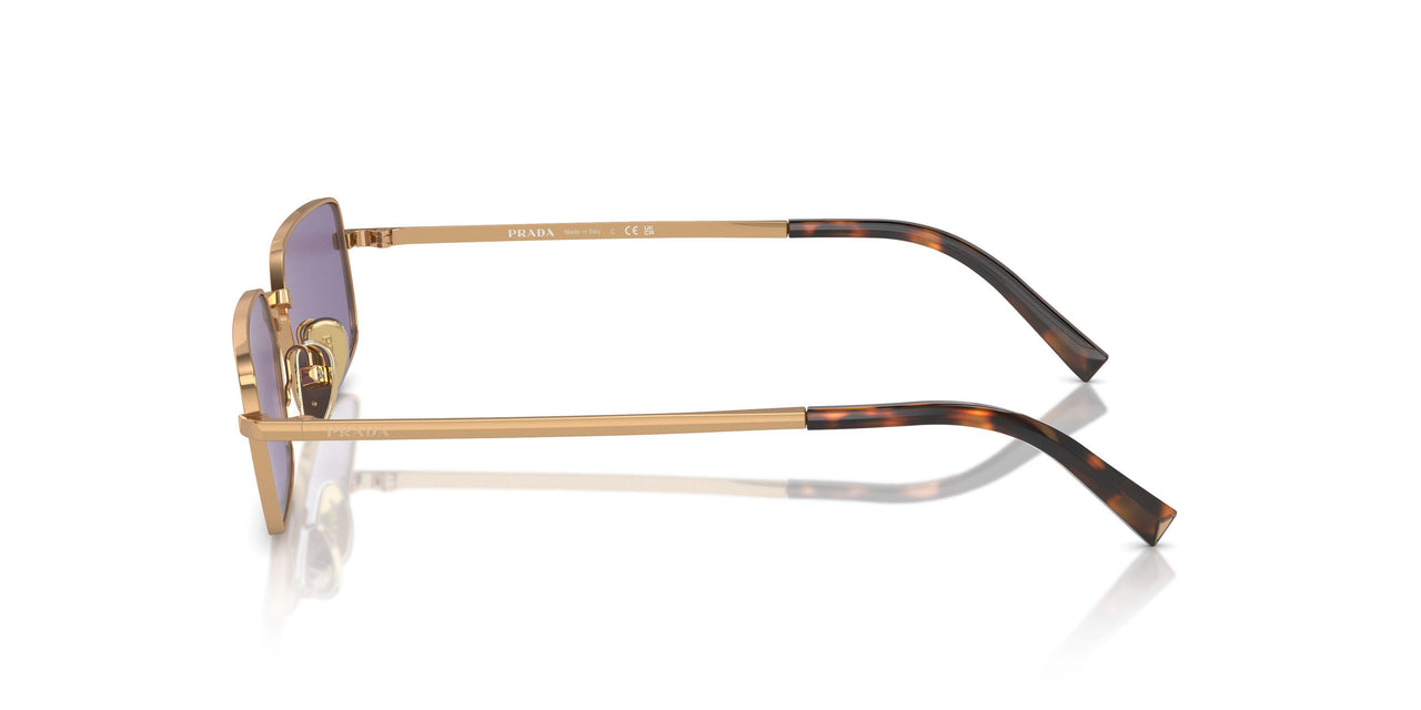 7OE01O - Brown - Violet