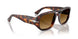 24/85 - Tortoise - Light Brown Gradient Dark Brow