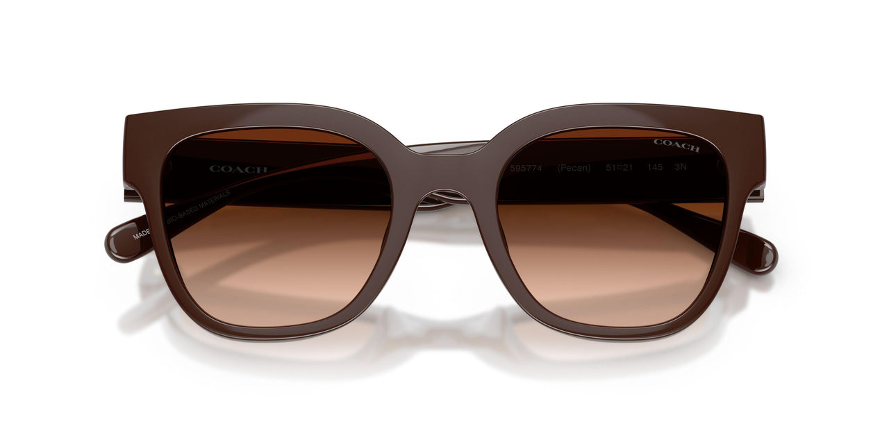 595774 - Brown - Brown Gradient