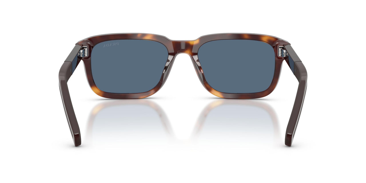 15W06A - Tortoise - Dark Blue
