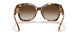 302813 - Havana - Brown Gradient
