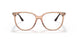 8172 - Brown