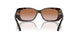 W65613 - Havana - Brown Gradient
