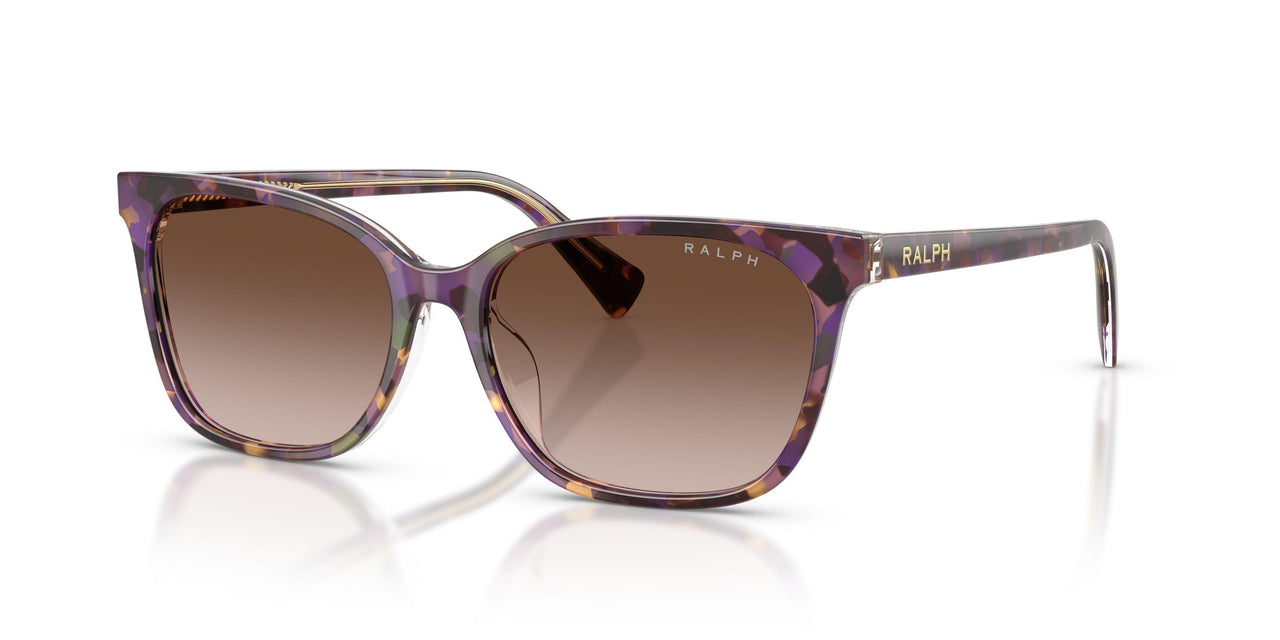 630313 - Tortoise - Gradient Brown