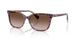 630313 - Tortoise - Gradient Brown
