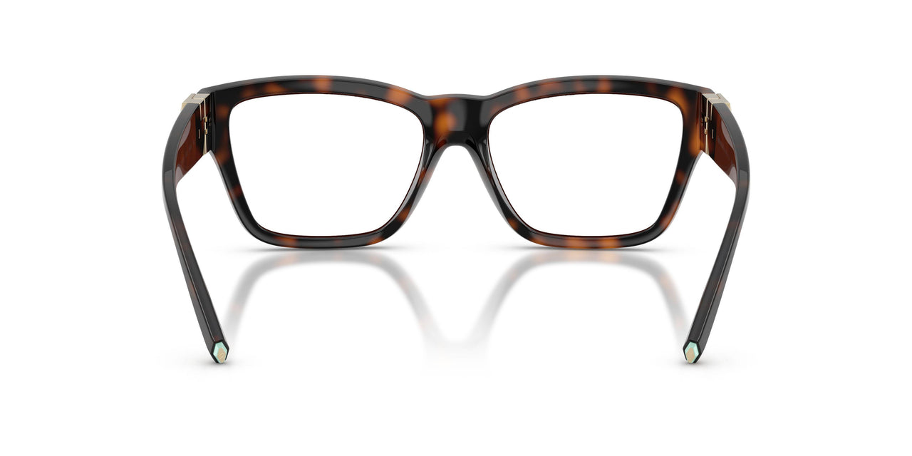 8015 - Tortoise
