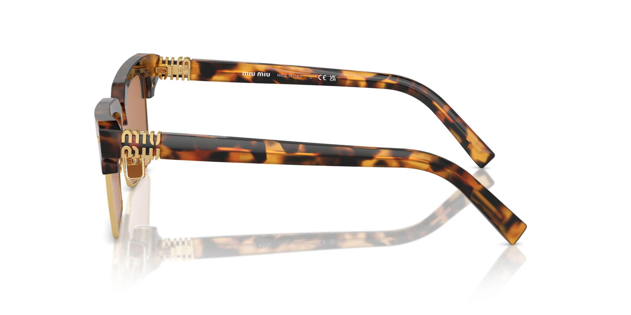 19P2Z1 - Tortoise - Brown